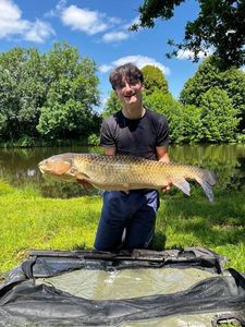 Grass Carp