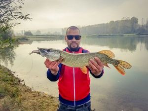 Northern Pike