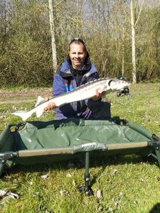 Sturgeon