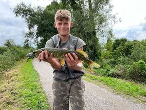 Northern Pike