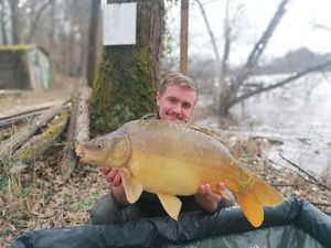 Mirror Carp