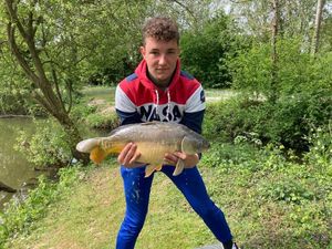 Mirror Carp