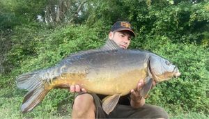 Mirror Carp