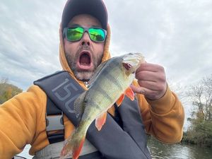 European Perch
