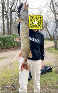 Northern Pike