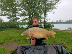 Mirror Carp