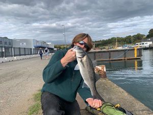 European Bass (Seabass)
