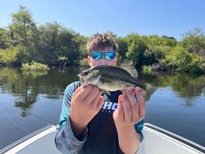 Largemouth Bass