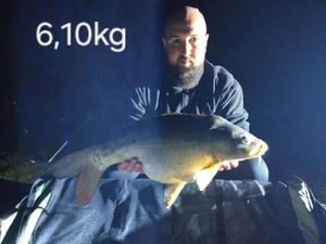 Mirror Carp