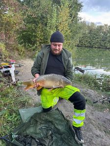 Mirror Carp
