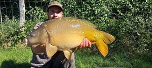 Mirror Carp