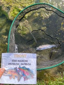 Rainbow Trout