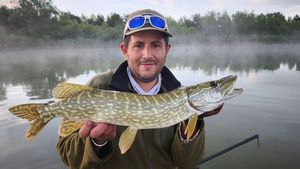 Northern Pike