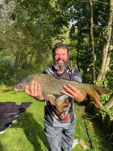 Common Carp