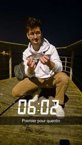 European Bass (Seabass)