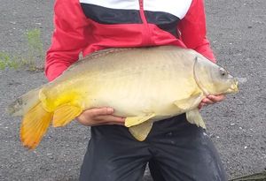 Leather Carp