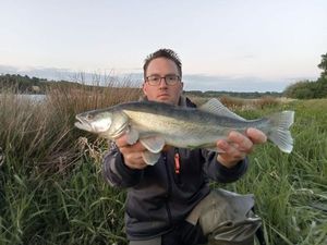 Zander