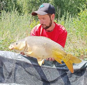 Mirror Carp
