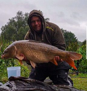 Common Carp