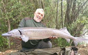 Siberian Sturgeon