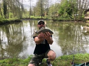 Crucian Carp