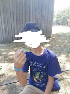 Largemouth Bass