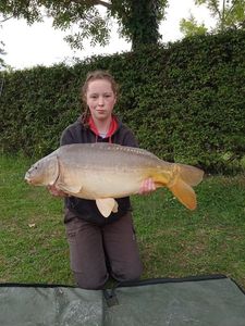 Mirror Carp