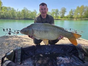 Common Carp
