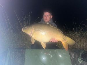 Mirror Carp