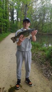 Smallmouth Bass