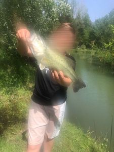 Smallmouth Bass