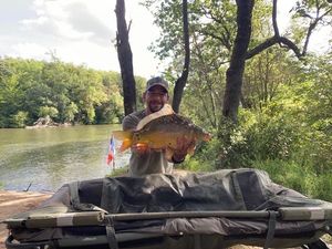 Mirror Carp