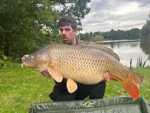 Common Carp