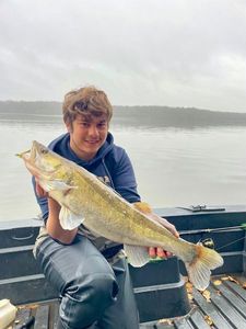 Zander