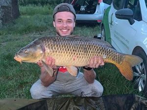 Common Carp