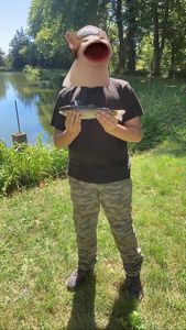 Rainbow Trout