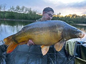 Mirror Carp