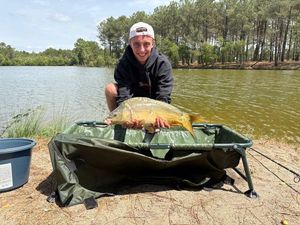 Mirror Carp