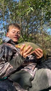 Common Carp