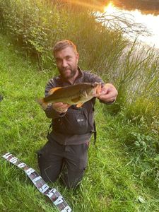 Largemouth Bass