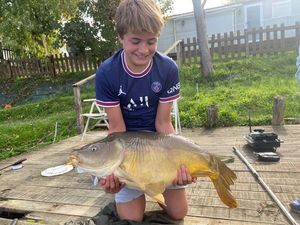 Mirror Carp