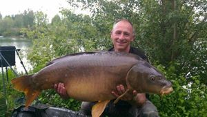 Mirror Carp