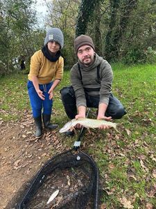 Northern Pike