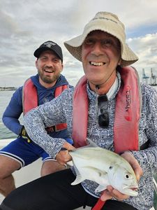 Crevalle Jack