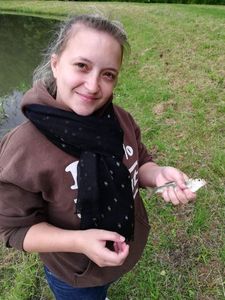Roach