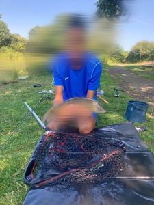 Tench