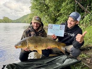 Common Carp