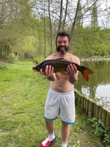 Common Carp
