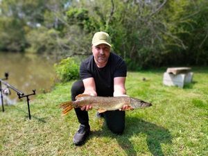 Northern Pike