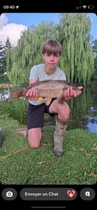 Common Carp
